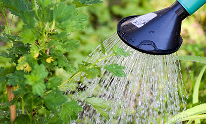 Water pollution can be reduced with responsible landscape watering practices